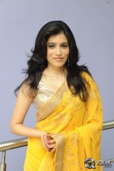 Gazal Somaiah at The End Movie Audio Launch